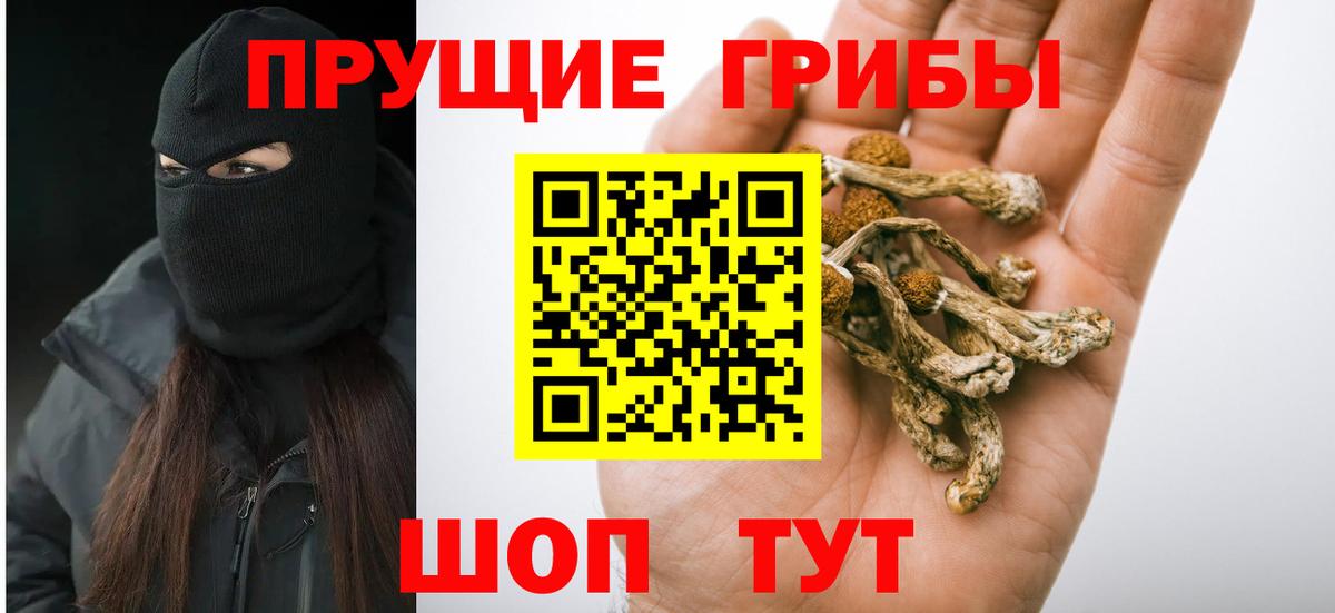 Псилоцибиновые грибы GOLDEN TEACHER  Вход с VPN  Псилоцибиновые грибы прущие грибы  Татарск 